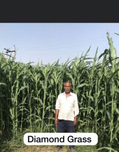 Ram Yadav