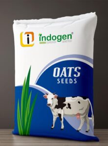 Oats Seeds