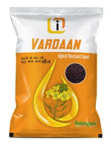 Hybrid Mustard Seed